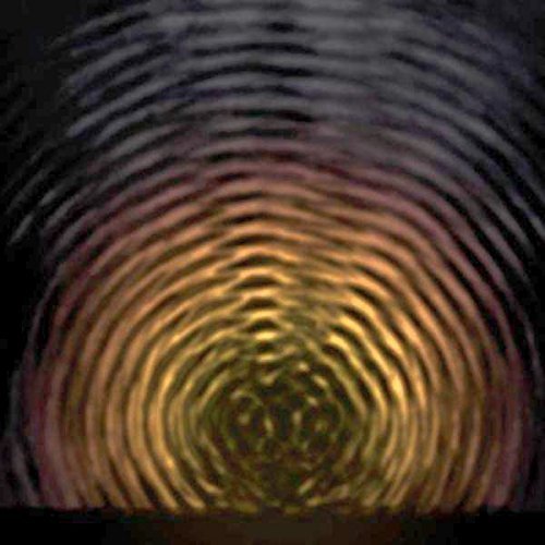 Jake Bellows/New Ocean