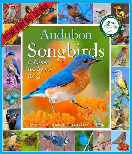 National Audubon Society/Audubon Songbirds & Other Backyard Birds Calendar