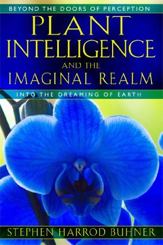 Stephen Harrod Buhner Plant Intelligence And The Imaginal Realm Beyond The Doors Of Perception Into The Dreaming 