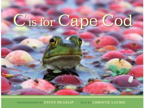 Christie Laurie C Is For Cape Cod 