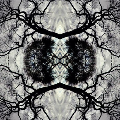 Adam Rudolph/Sonic Mandala Go: Oorganic Orc