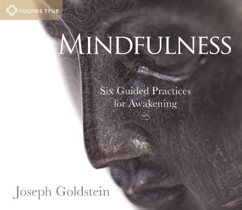 Joseph Goldstein Mindfulness Six Guided Practices For Awakening 