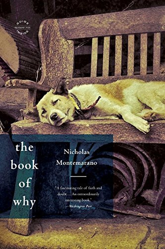Nicholas Montemarano/The Book of Why