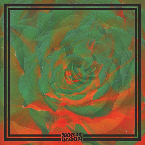Night Beats/Sonic Bloom