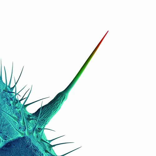 Peter Gabriel/And I'll Scratch Yours