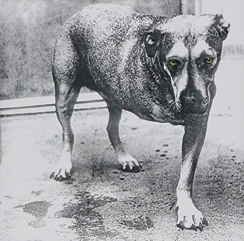 Alice In Chains/Alice In Chains