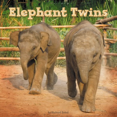 Richard Sobol Elephant Twins 