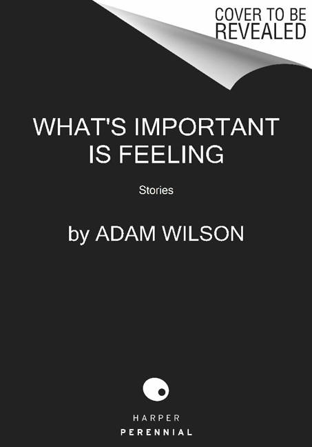 Adam Wilson/What's Important Is Feeling