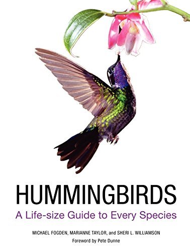Michael Fogden Hummingbirds A Life Size Guide To Every Species 