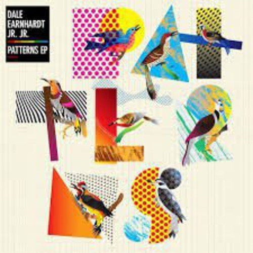 Dale Earnhardt Jr. Jr./Patterns@Incl. Digital Download