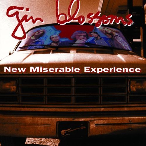 Gin Blossoms/New Miserable Experience