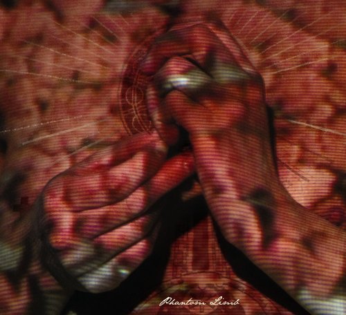 WATER LIARS/PHANTOM LIMB