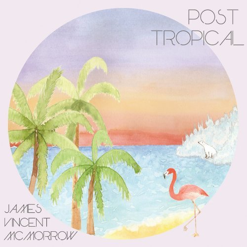 James Vincent Mcmorrow/Post Tropical