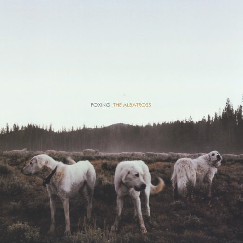 Foxing/Albatross