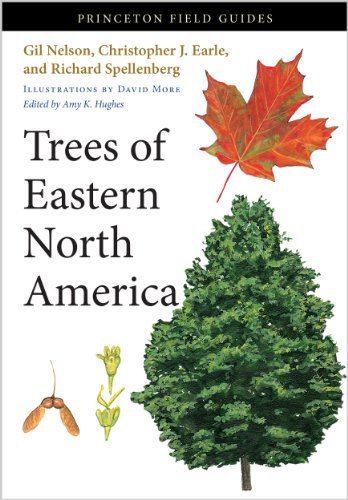 Gil Nelson Trees Of Eastern North America 