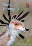 Adam Scott Kennedy Birds Of The Serengeti And Ngorongoro Conservation Area 