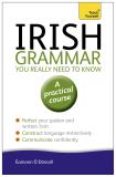 Eamonn O. Donaill Irish Grammar You Really Need To Know 