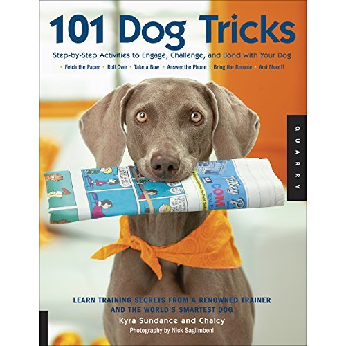 SUNDANCE,KYRA/101 Dog Tricks