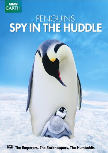 Penguins: Spy In The Huddle/Penguins: Spy In The Huddle@dvd@Nr