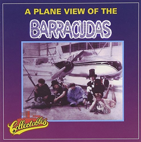 Barracudas/Plane View Of The Barracudas