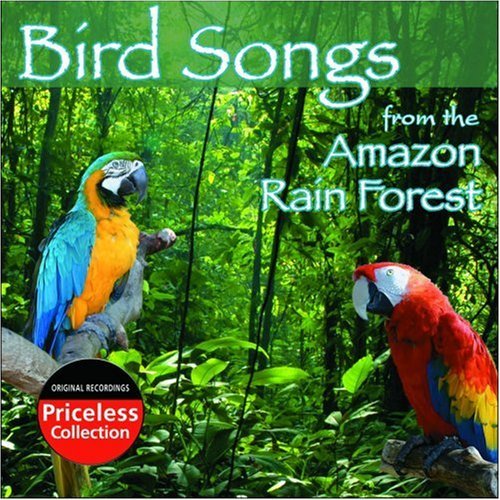 Bird Songs Of The Amazon Rain Bird Songs Of The Amazon Rain 