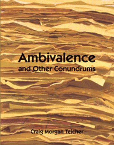 Craig Teicher Ambivalence And Other Conundrums 