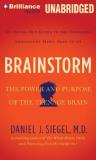 Daniel J. Siegel Brainstorm The Power And Purpose Of The Teenage Brain Mp3 CD 