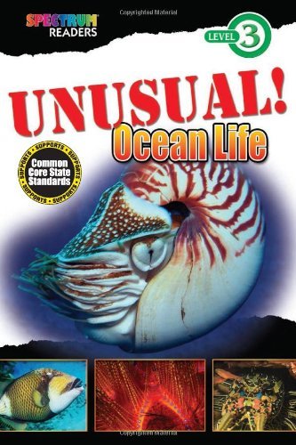 Teresa Domnauer Unusual! Ocean Life 