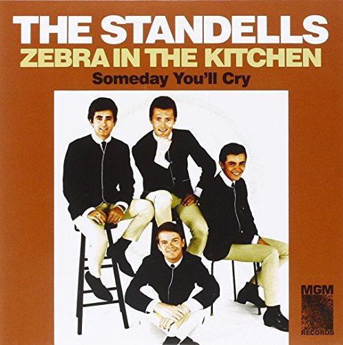 Standells/Zebra In The Kitchen/Someday Y@7 Inch Single
