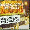 TOM JONES AND THE CARDIGANS/Burning Down The House