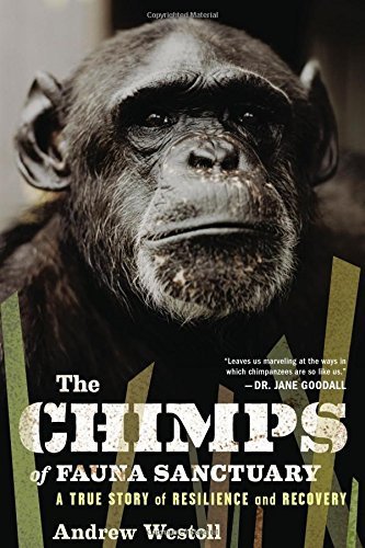 Andrew Westoll/The Chimps of Fauna Sanctuary@A True Story of Resilience and Recovery