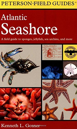 Roger Tory Peterson A Field Guide To The Atlantic Seashore From The Bay Of Fundy To Cape Hatteras 