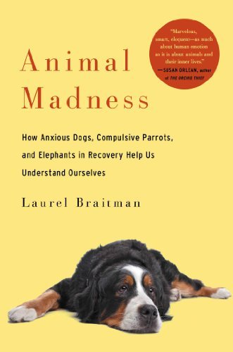 Laurel Braitman/Animal Madness@ How Anxious Dogs, Compulsive Parrots, and Elephan
