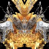 Band Of Skulls Himalayan 