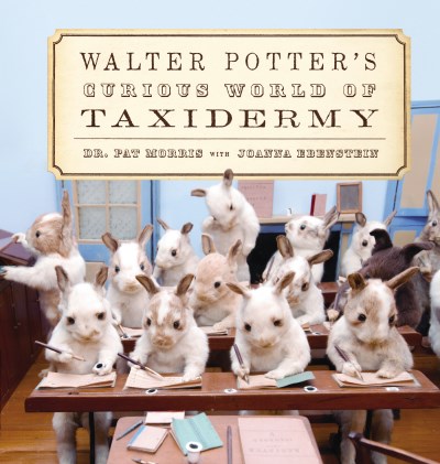 Pat Morris Walter Potter's Curious World Of Taxidermy 