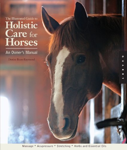 Denise Bean Raymond The Illustrated Guide To Holistic Care For Horses An Owner's Manual 