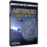 Nova Asteroid Doomsday Or Payday DVD Nr 