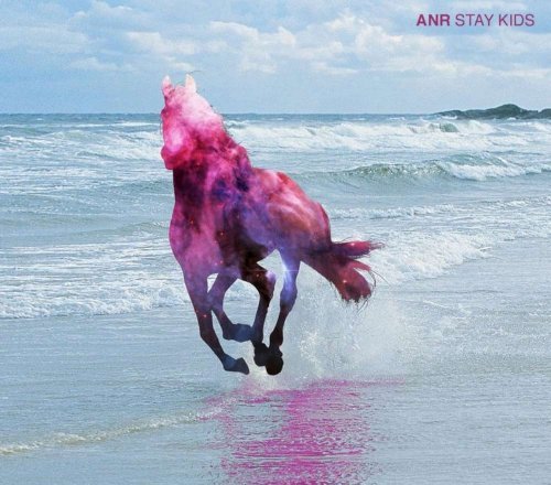 Anr/Stay Kids@Digipak