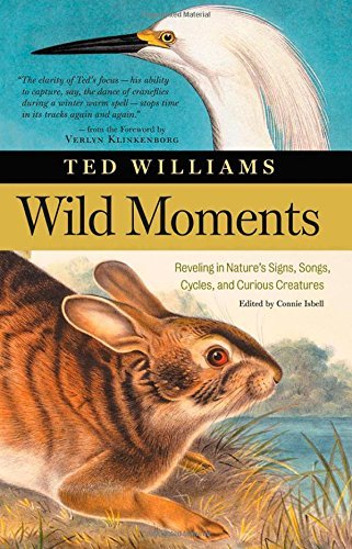 Ted Williams/Wild Moments
