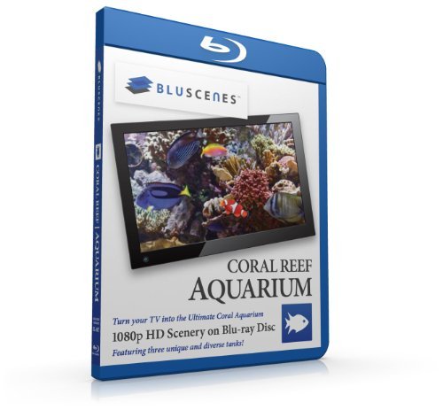 Coral Reef Aquarium Coral Reef Aquarium Blu Ray Ws Nr 