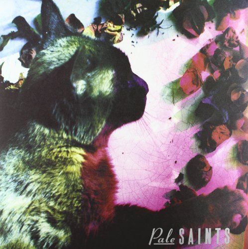 PALE SAINTS/COMFORTS OF MADNESS