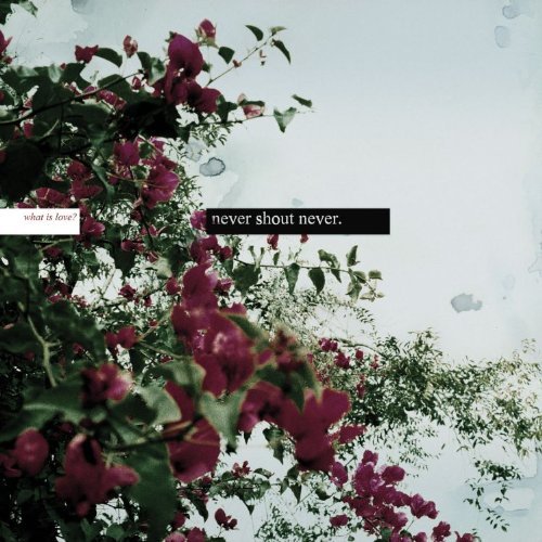 Never Shout Never/What Is Love?@Clean Version