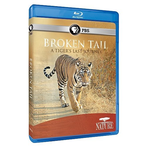 Broken Tail: A Tiger's Last Jo/Nature@Blu-Ray/Ws@Nr