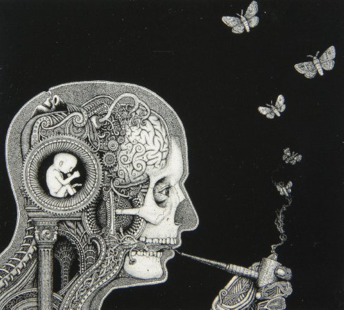 Soen/Cognitive@Import-Arg