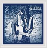 Lisa Gallant Seal Changing Direction 2012 