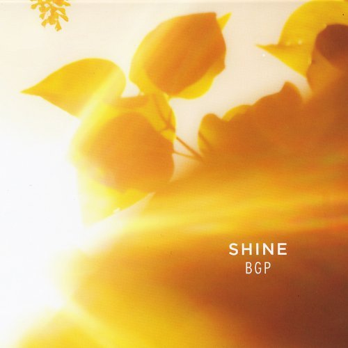 Bluegrass Gospel Project/Shine