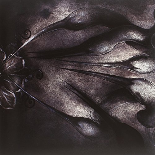 Khlyst/Chaos Is My Name