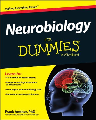 Frank Amthor Neurobiology For Dummies 