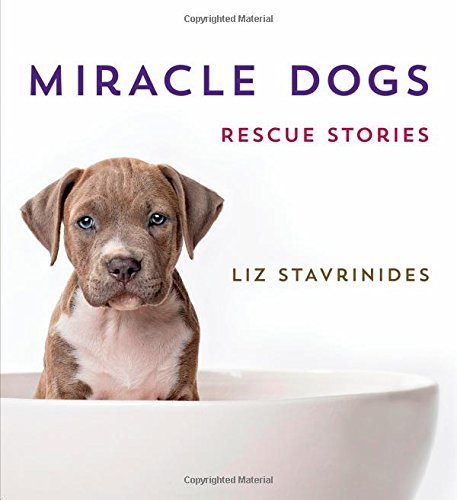 Liz Stavrinides/Miracle Dogs@ Rescue Stories