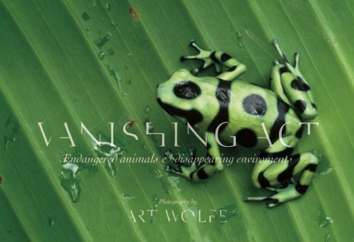 Art (PHT) Wolfe/Vanishing Act